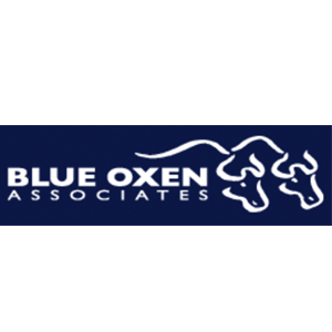 Blue Oxen